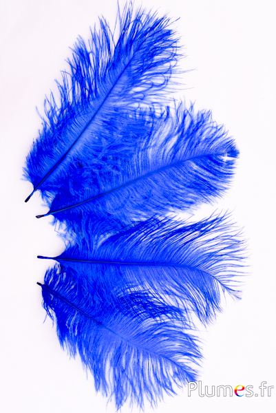 Autruche - 13-18 cm - bleu